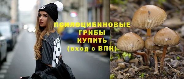 героин Алексин