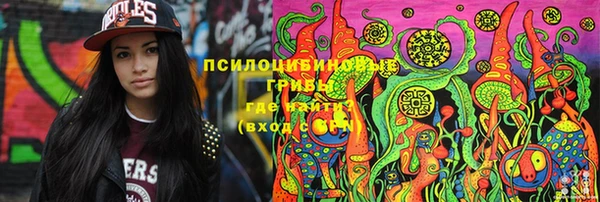 героин Алексин