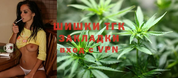 прущий лед Алзамай