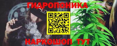 амф Новозыбков