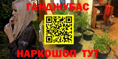 амф Новозыбков