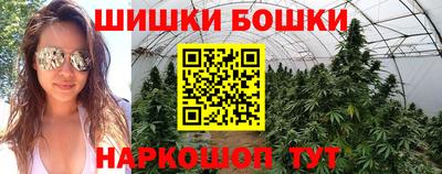 амф Новозыбков
