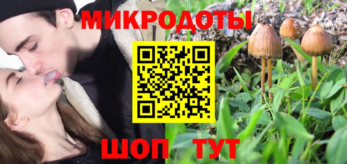 Псилоцибиновые грибы прущие грибы  Вход с VPN  Углич  Галлюциногенные грибы Cubensis 