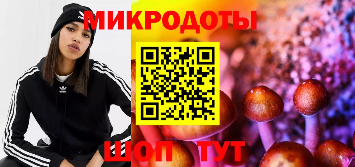 Псилоцибиновые грибы Cubensis Углич